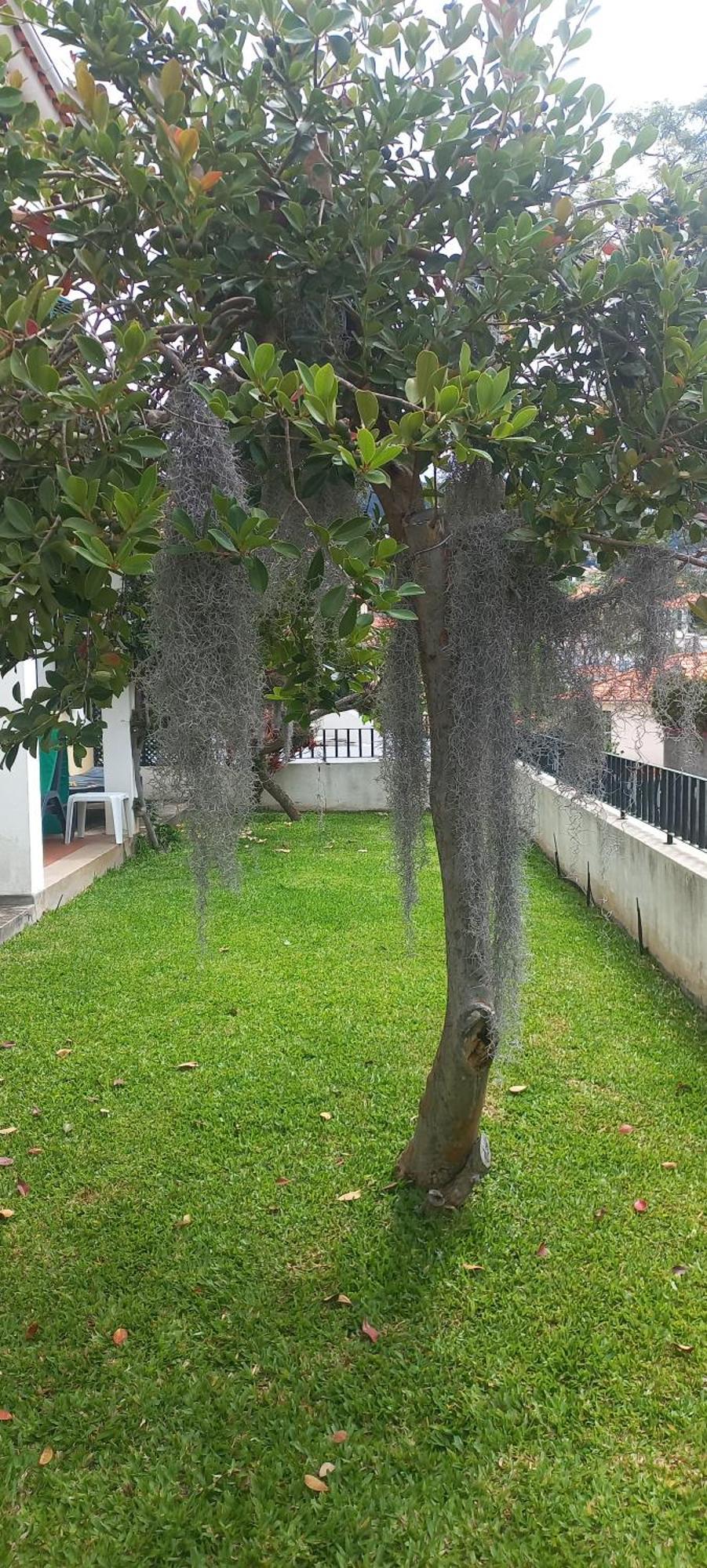 Villa Cosy Nook Funchal  Exteriör bild