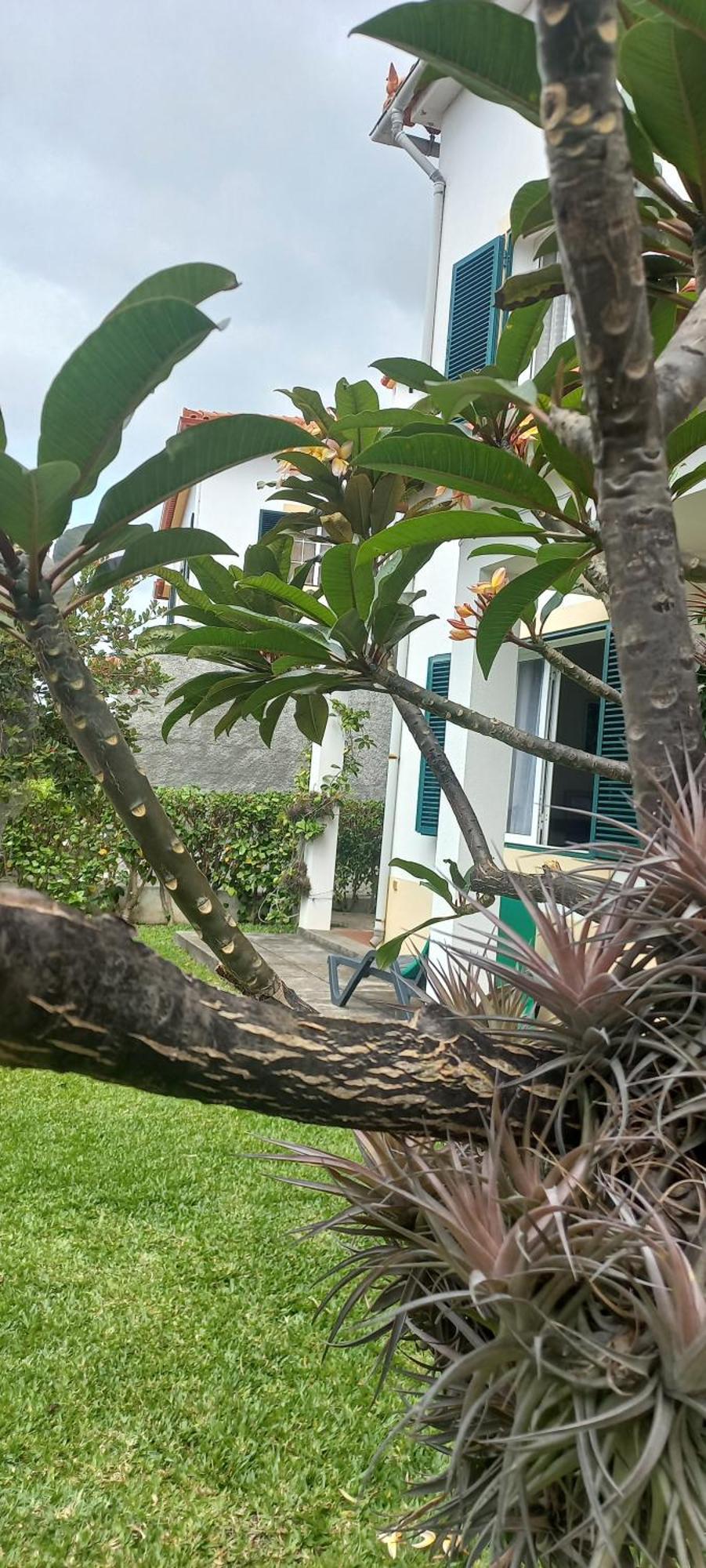 Villa Cosy Nook Funchal  Exteriör bild